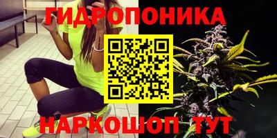 ешки Заволжье