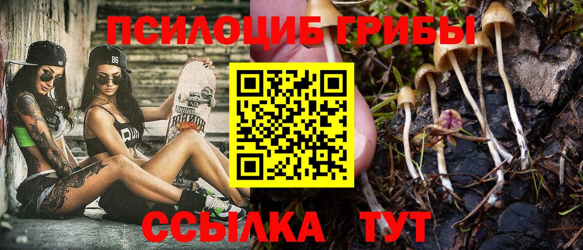 Псилоцибиновые грибы Magic Shrooms Лабинск